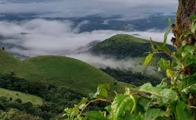 Day 1  - Kannur-Coorg