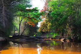 Masinagudi, Bandipur, Wayanad